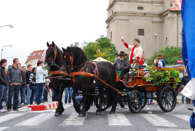 Wine Season in Slovakia - Best Time