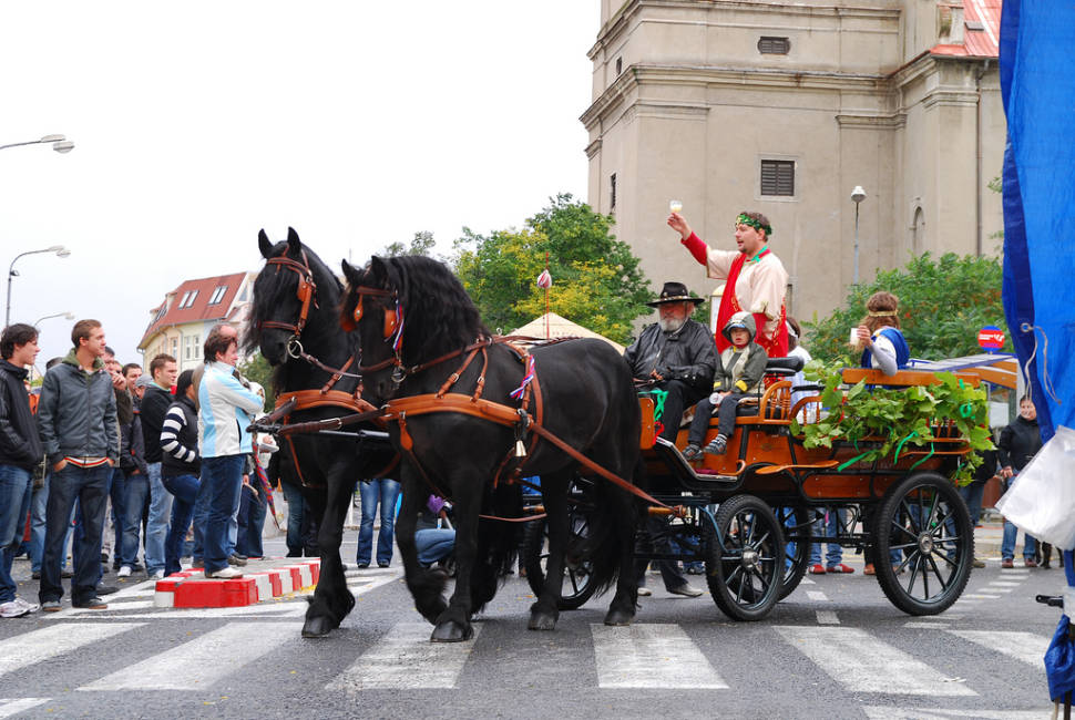 Wine Season in Slovakia - Best Time