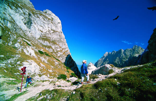 Eagles above the Luknja Pass near Triglav