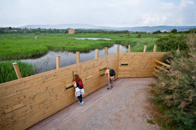 Bird observation in observatory in Škocjanski Zatok