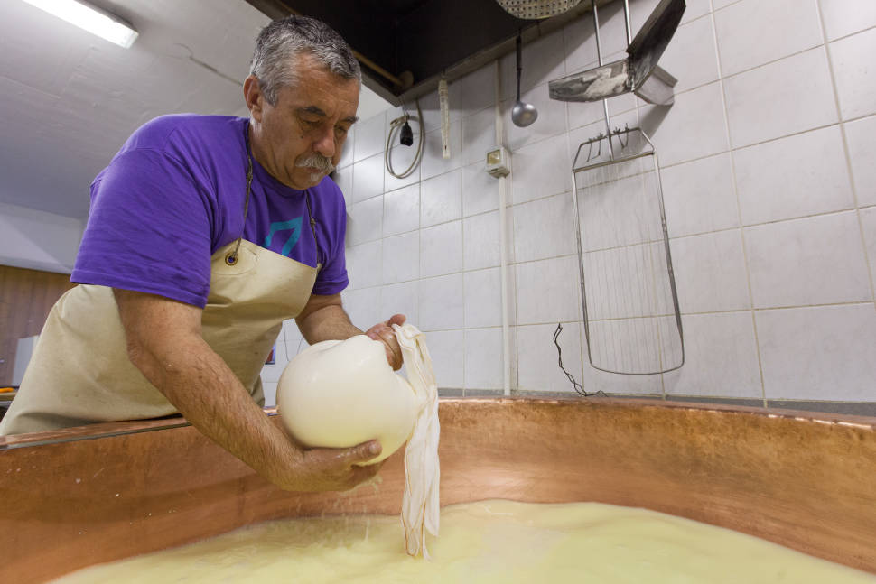 Best time for Cheese in Slovenia