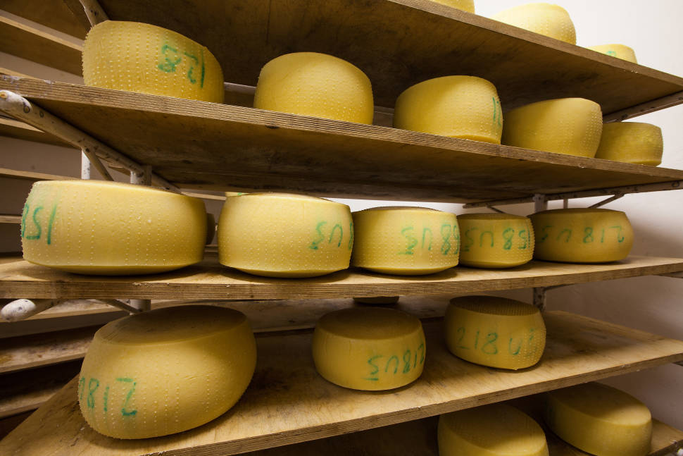 Cheese in Slovenia - Best Time