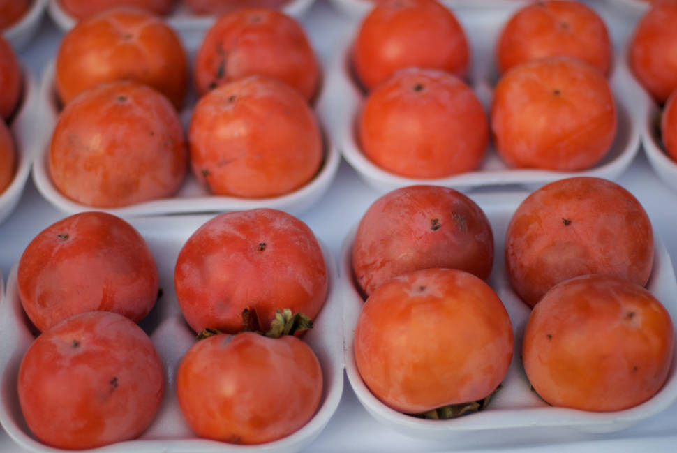 Persimmon Season in Slovenia - Best Season