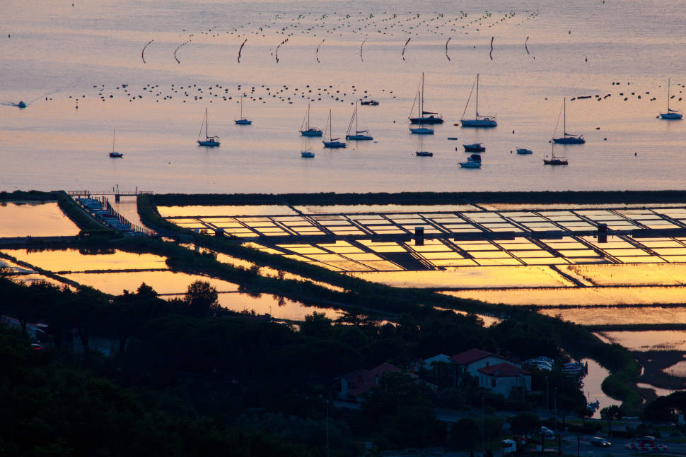 Best time to see Salt Harvest in Slovenia