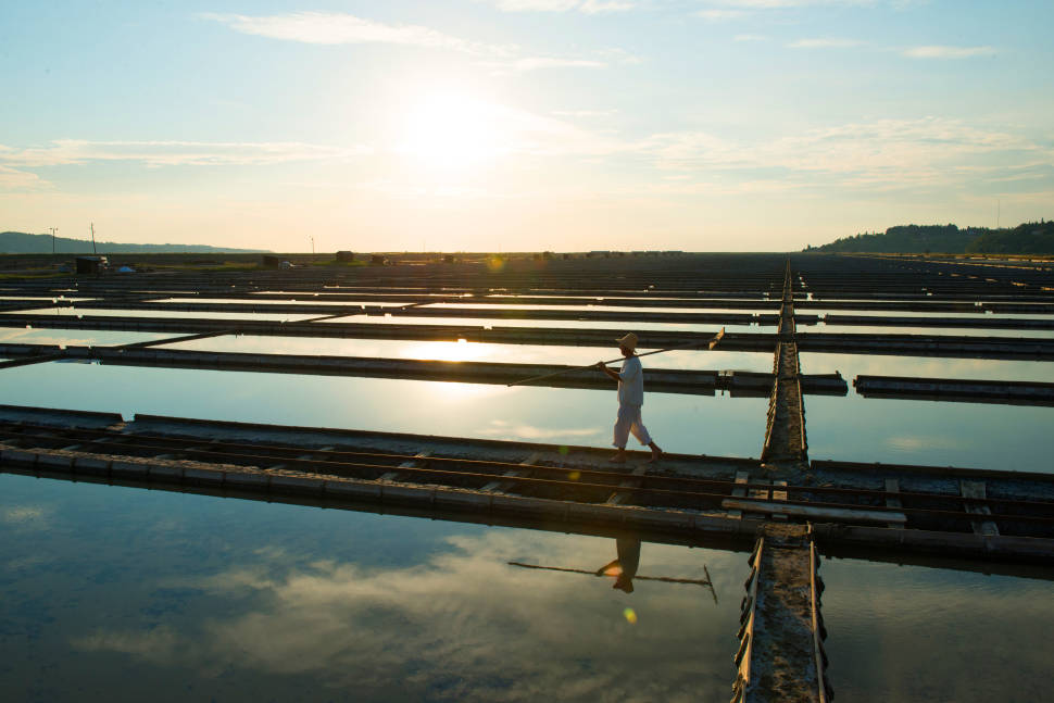 Salt Harvest in Slovenia - Best Season