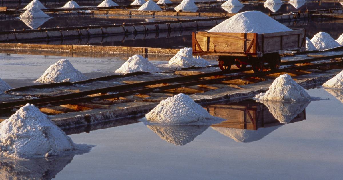Salt Harvest in Slovenia - Best Time