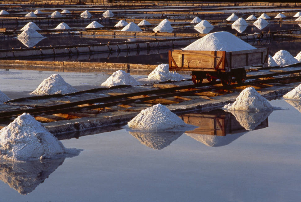 Salt Harvest in Slovenia - Best Time