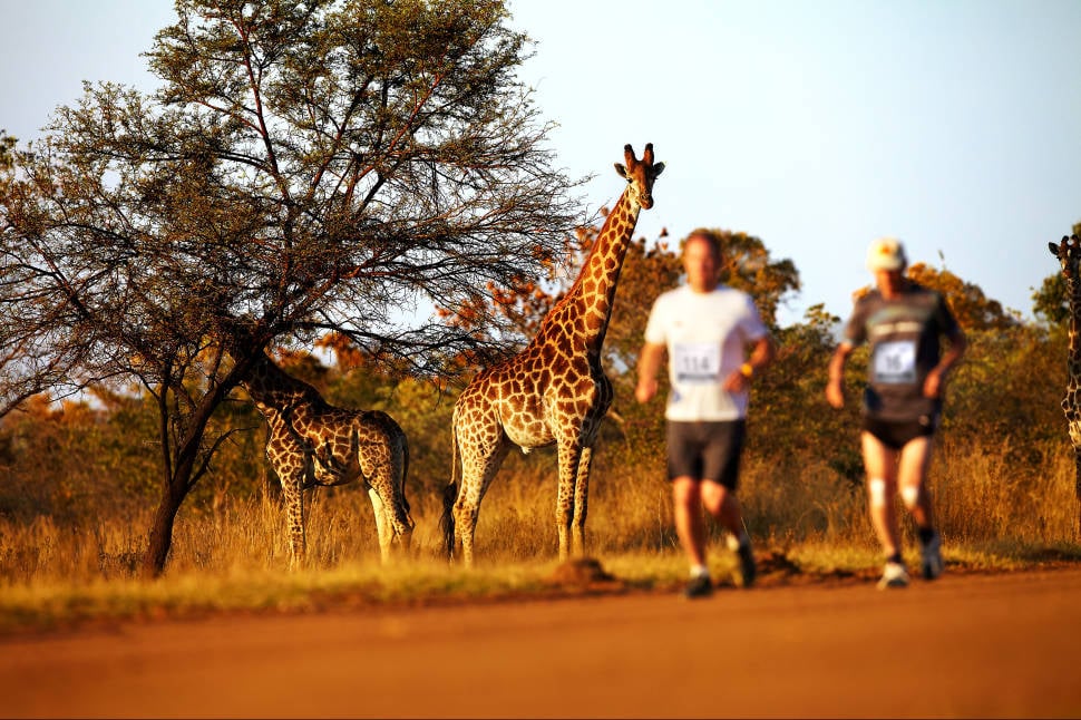 Best time for Big Five Marathon in South Africa