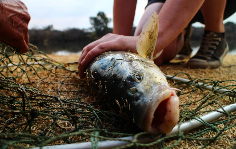 Fishing Season in South Africa - Best Time