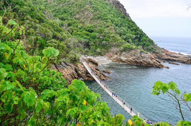 Tsitsikamma National Park