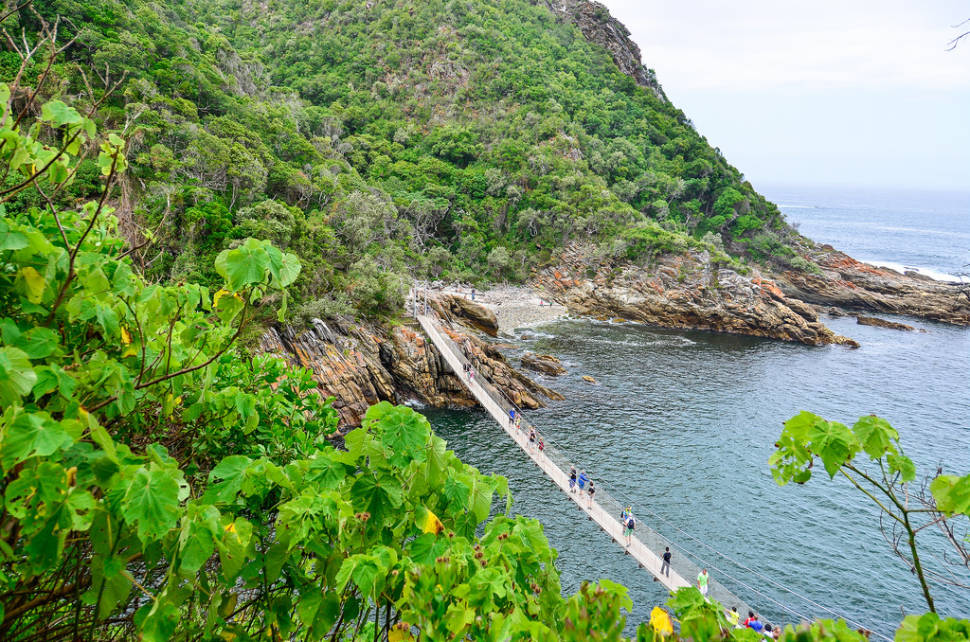 Tsitsikamma National Park