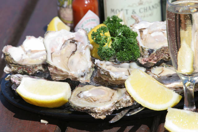 Knysna Oysters