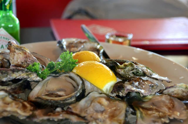 Knysna Oysters in South Africa - Best Time