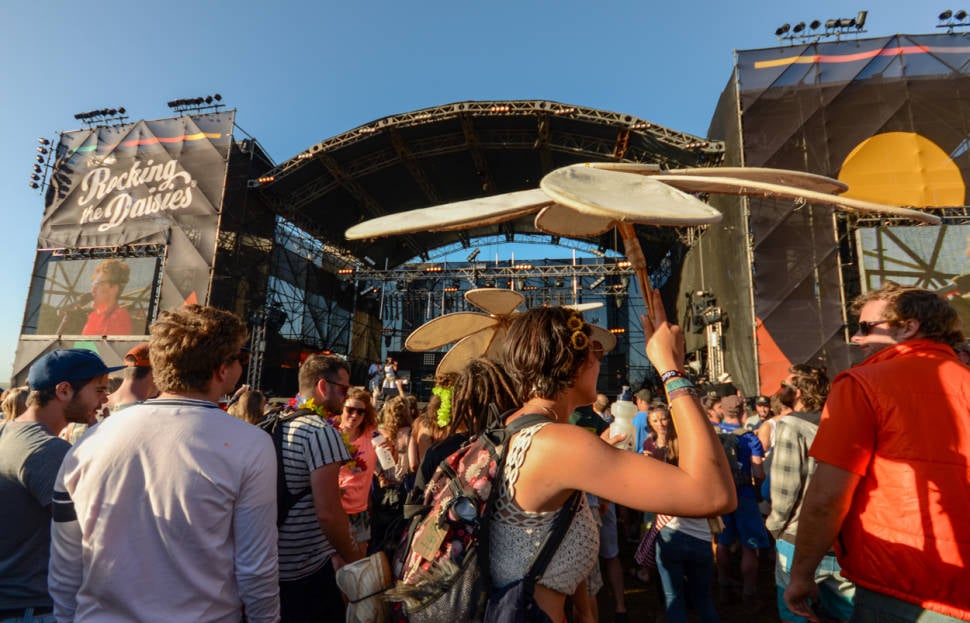 Best time to see Rocking the Daisies in South Africa