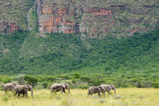 Entabeni Game Reserve