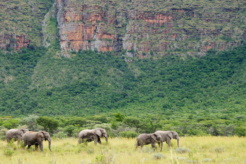 Entabeni Game Reserve