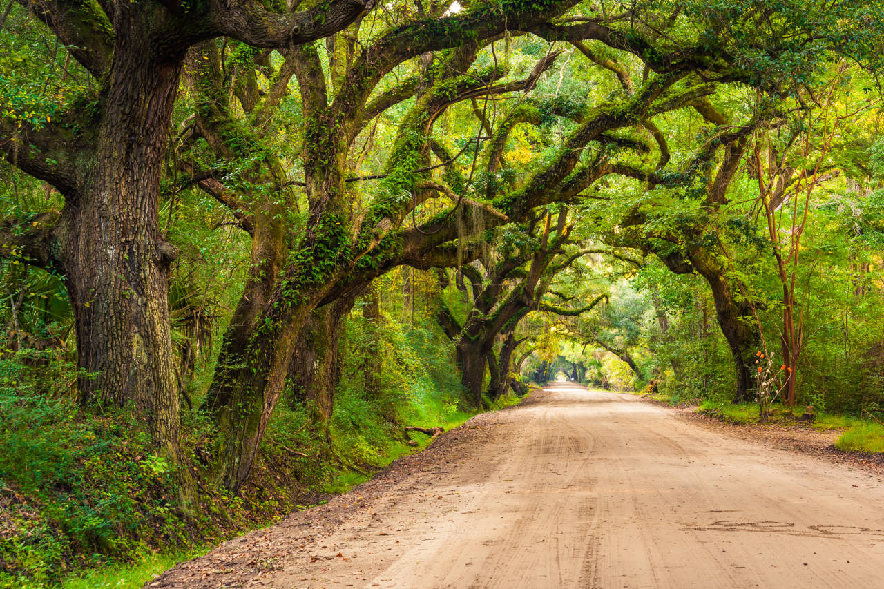 Best Time To Visit South Carolina 2024 Weather 27 Things To Do Best Time To Visit South Carolina 2024 Weather 27 Things To Do