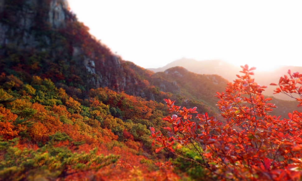 Autumn at Gwanaksan (Seoul, Korea)