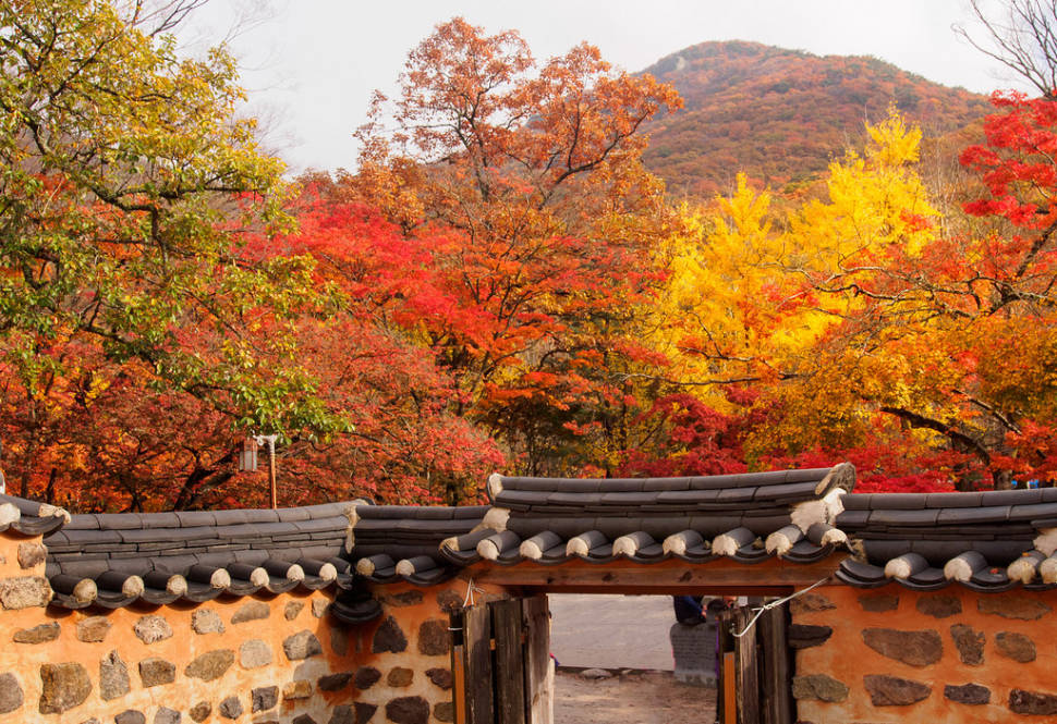 Autumn in South Korea - Best Time