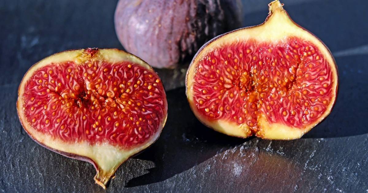 Figs in South Korea - Best Time