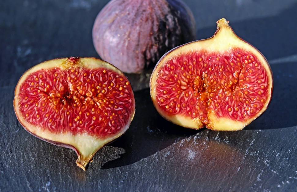 Figs in South Korea - Best Time