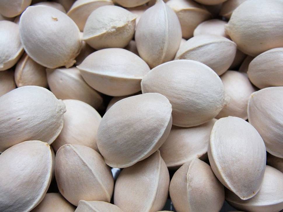 Ginkgo Nuts in South Korea - Best Time