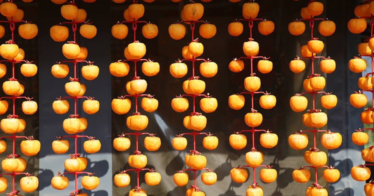 Persimmon Harvest and Gotgam Making in South Korea - Best Time