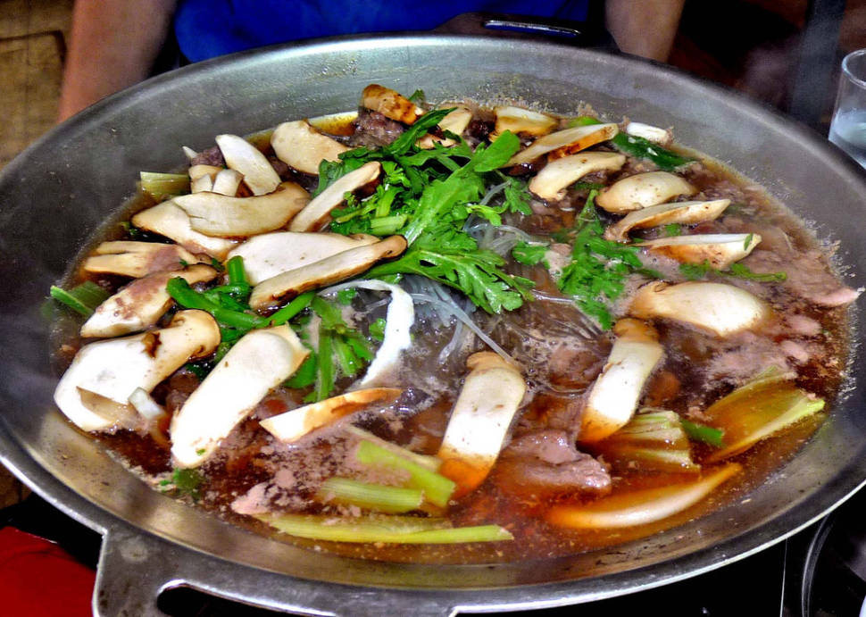 Pine Mushrooms (Songi) in South Korea - Best Time