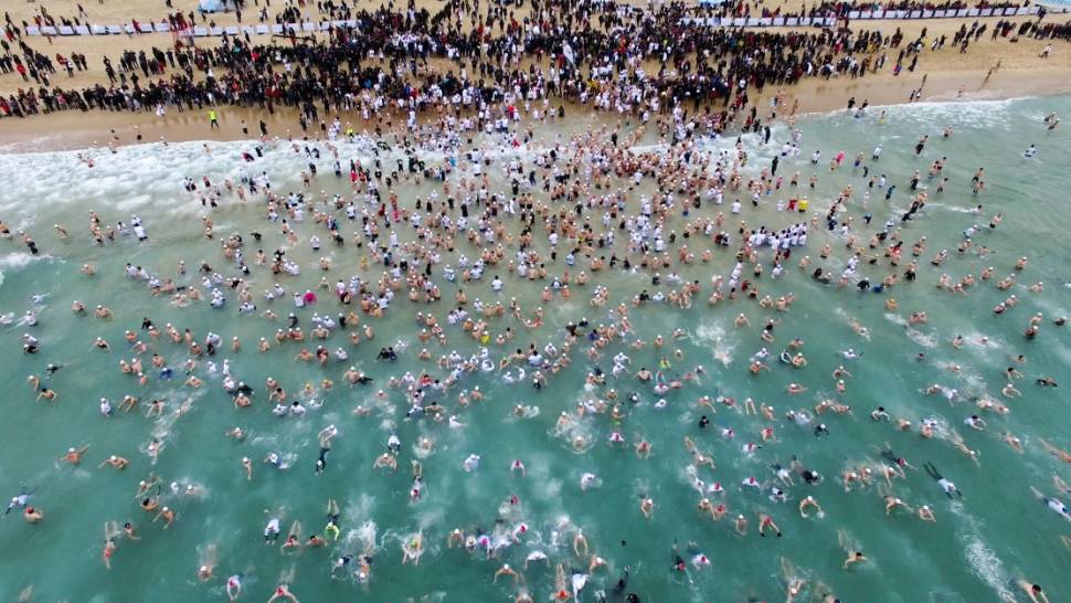 Polar Bear Swim Festival in South Korea - Best Season