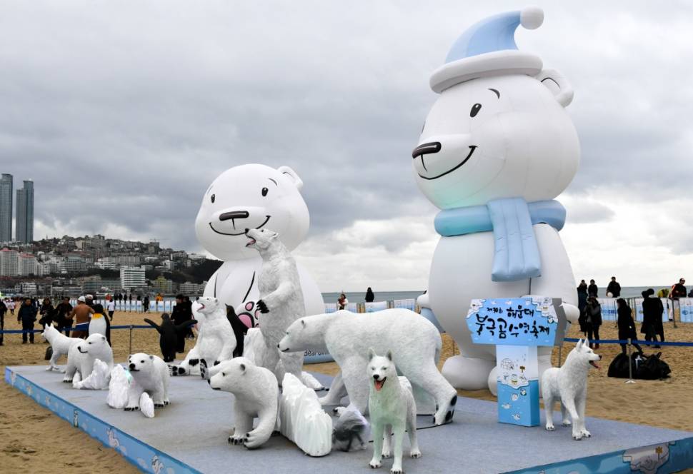 Polar Bear Swim Festival in South Korea - Best Time