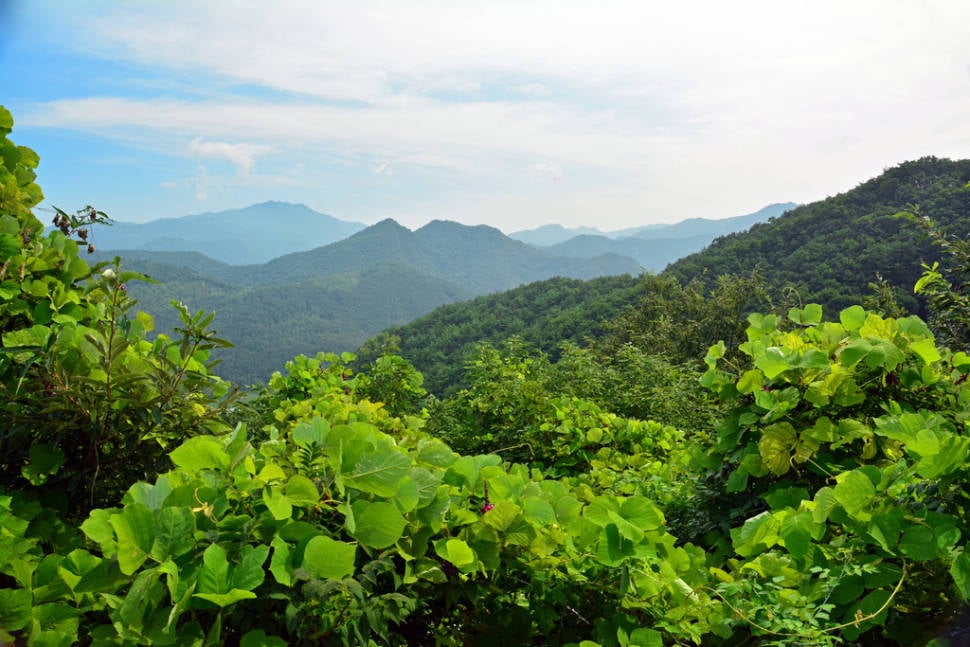 Korean Mountain Range