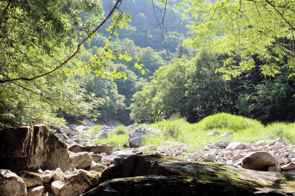 Summer in South Korea - Best Season