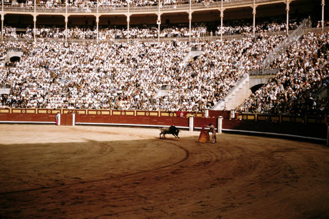 Best time for Bullfighting Season in Spain