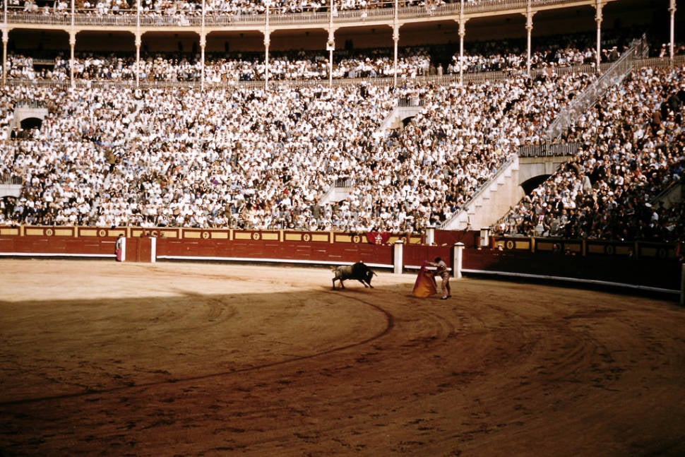 Best time for Bullfighting Season in Spain