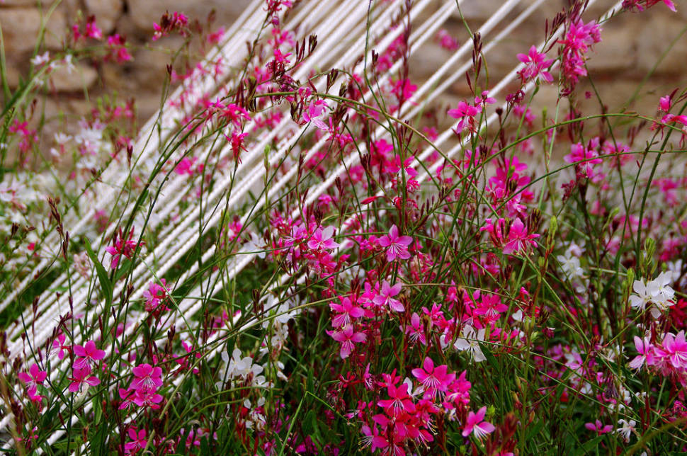 Best time for Girona Flower Festival in Spain