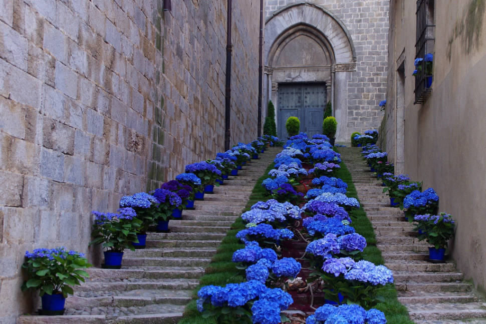 Best time to see Girona Flower Festival