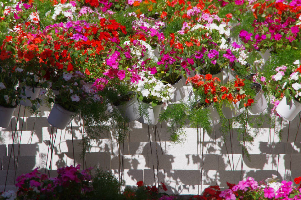 Best time to see Girona Flower Festival in Spain