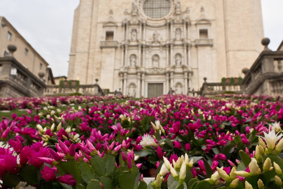 Girona Flower Festival in Spain - Best Time