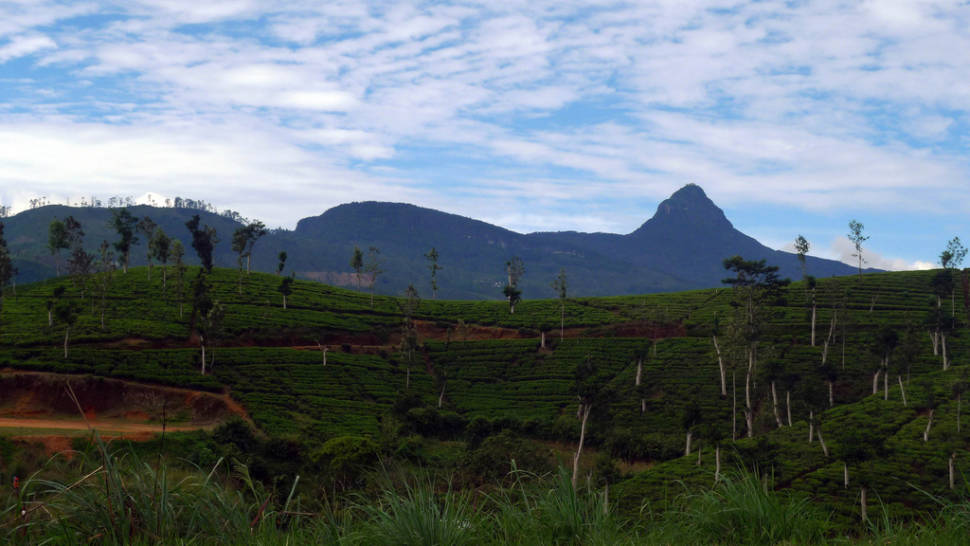 Adam's Peak Pilgrimage in Sri Lanka - Best Season