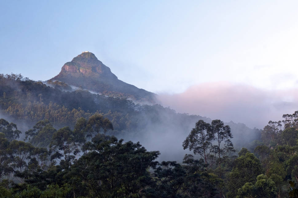 Adam's Peak Pilgrimage in Sri Lanka - Best Time