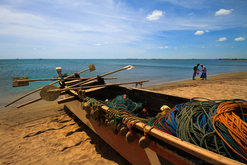 Deep Sea Fishing on theEast Coast in Sri Lanka - Best Season