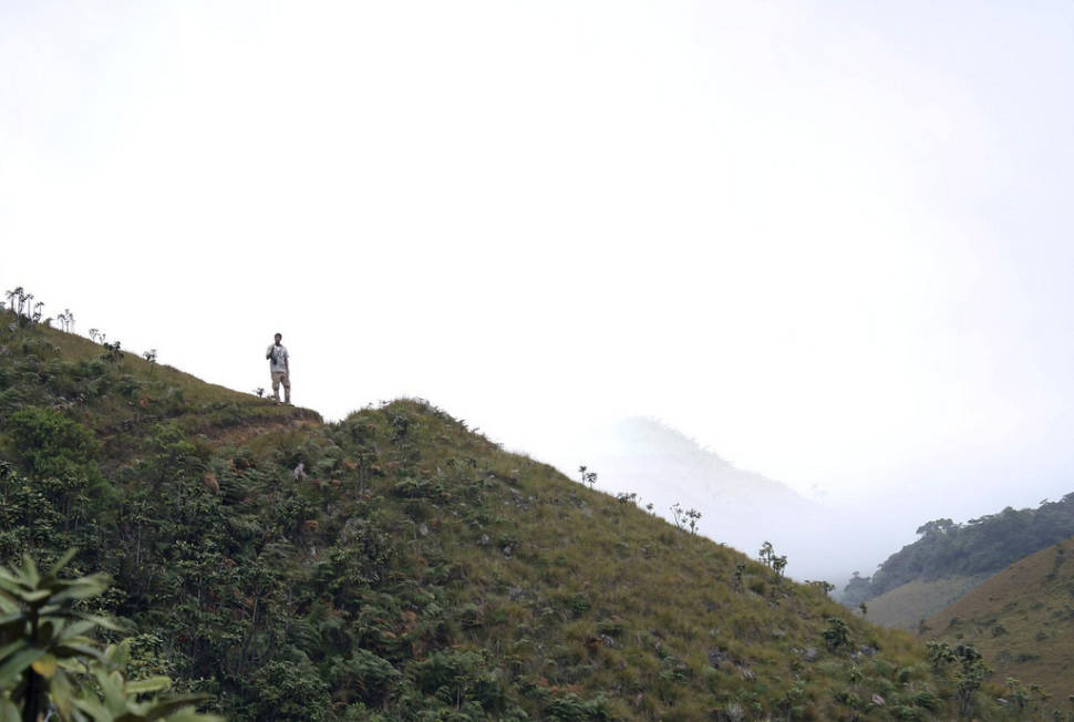 Horton Plains in Sri Lanka - Best Season