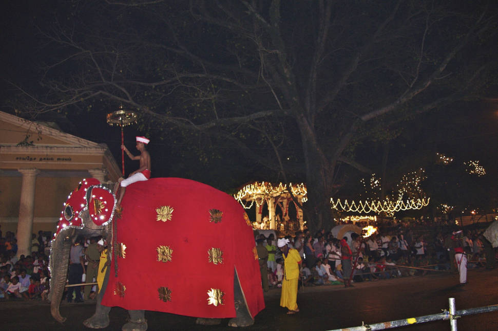 Best time for Kandy Esala Perahera