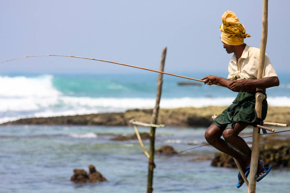 Stilt Fishing in Sri Lanka - Best Time