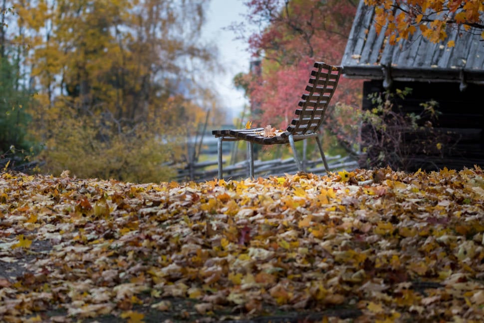 Best time for Autumn in Sweden