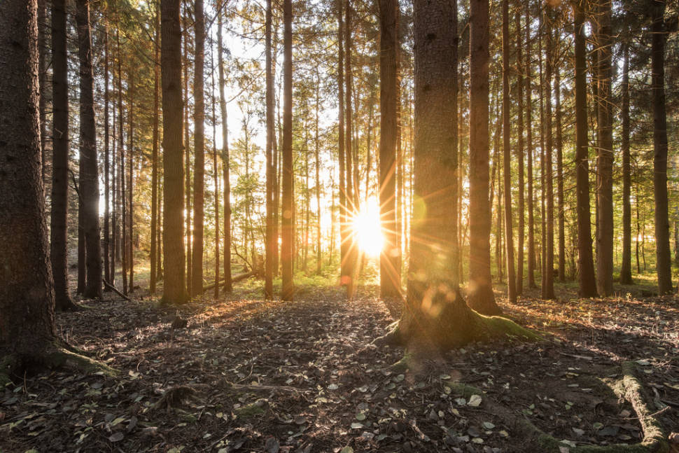 Autumn in Sweden - Best Time