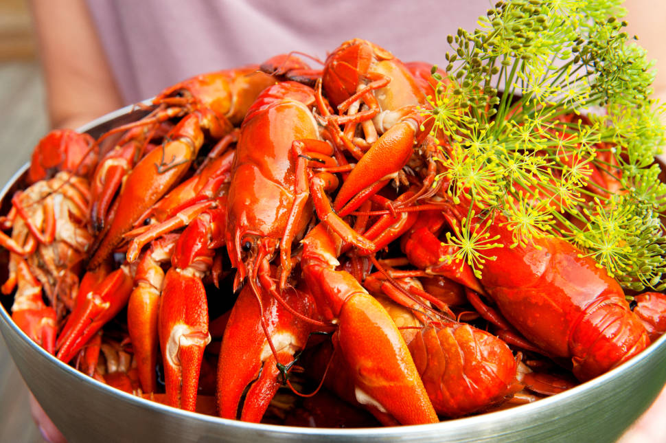 Best time for Kräftskiva: Crayfish Party in Sweden
