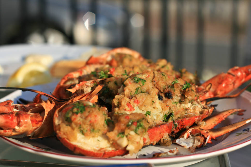 Best time for Lobster Season in Sweden