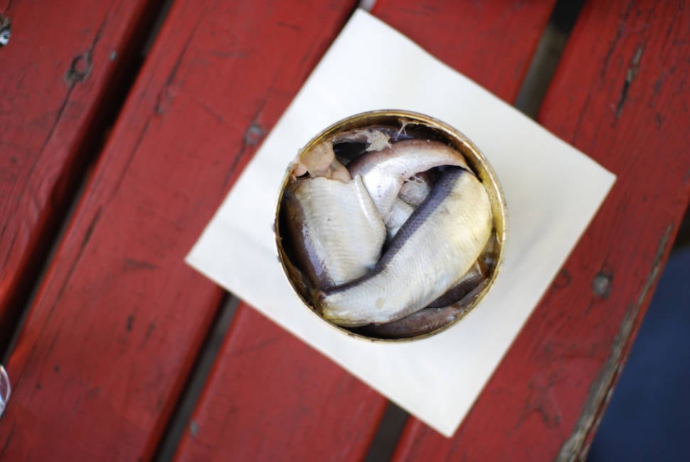 Best time for Surströmming or Sour Herring in Sweden