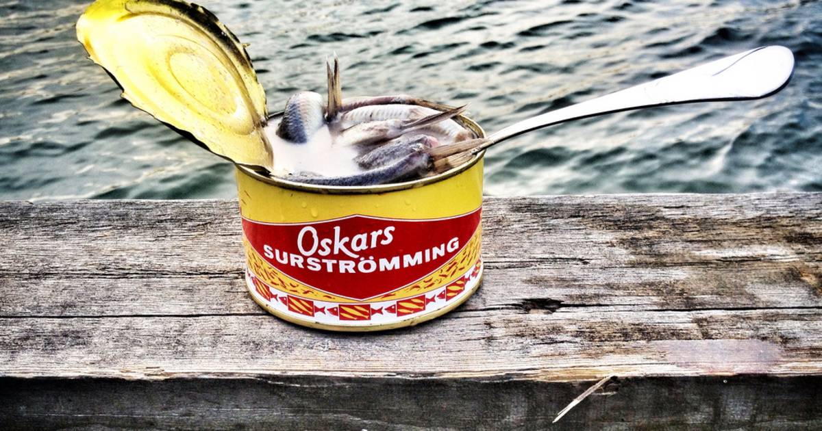 Surströmming or Sour Herring in Sweden - Best Time